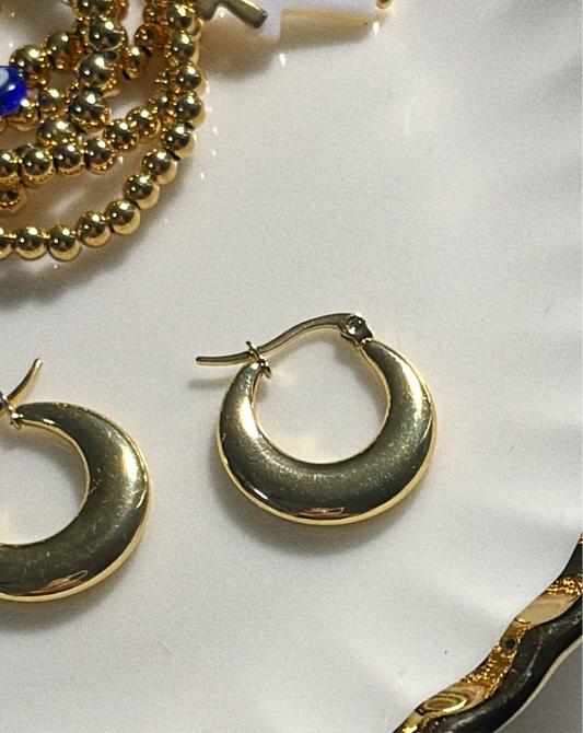 Every day earrings